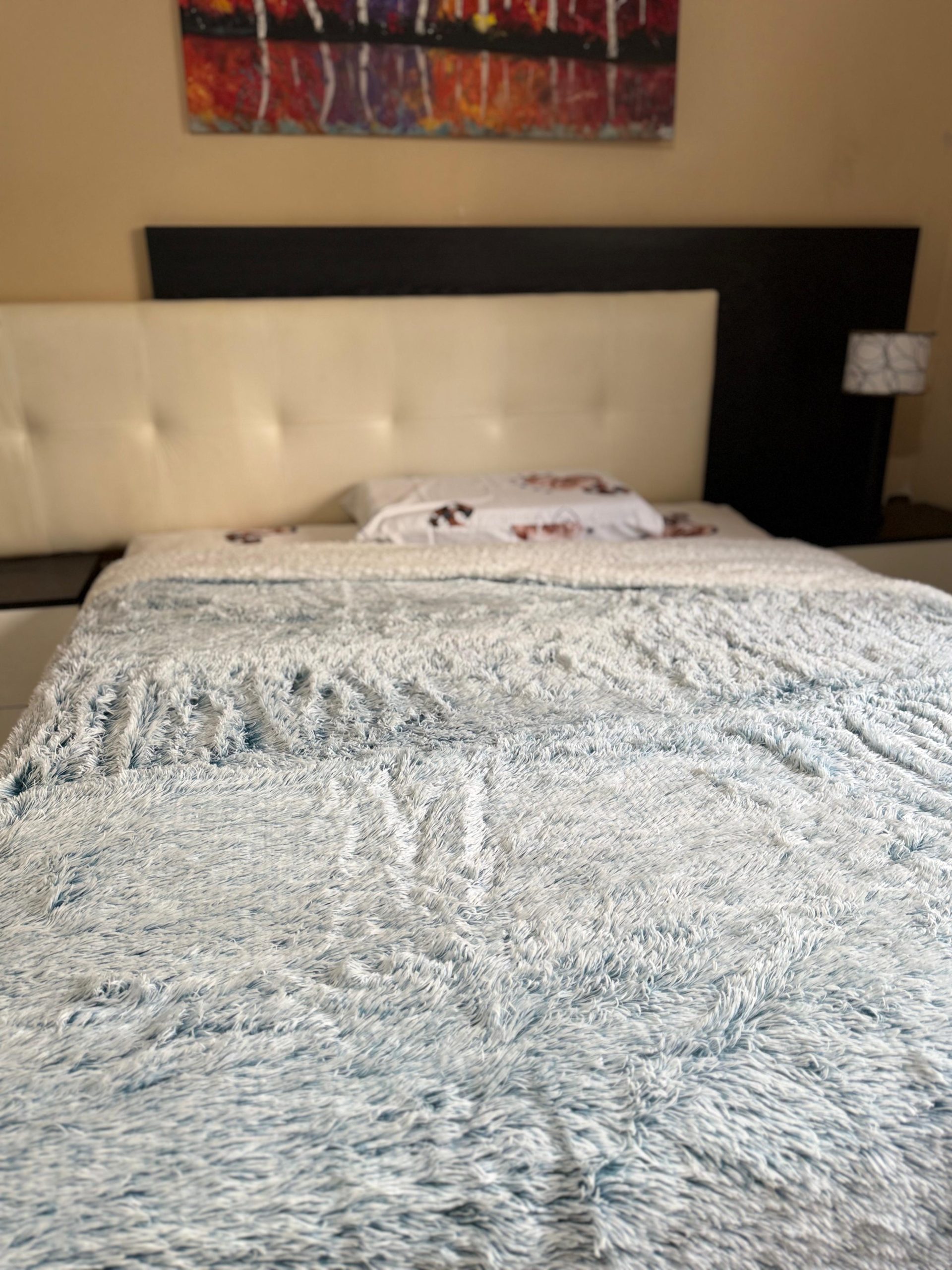 Frazada Con CORDERITO Y PIEL Simil Conejo Bicolor Medida Twin 1.50x2.20 M 4 Frazada Con CORDERITO Y PIEL Simil Conejo Bicolor Medida Twin 1.50x2.20 M - Imagen 4